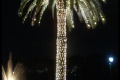 IMG-20201223-WA0008