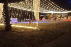 IMG-20240129-WA0013