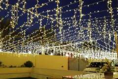 IMG-20240129-WA0014